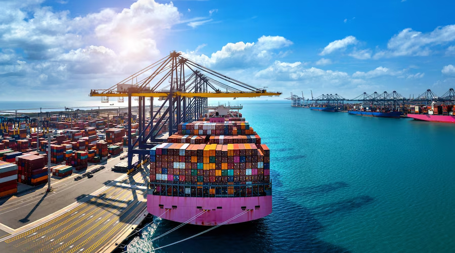 How to Choose the Best International Movers in Dubai