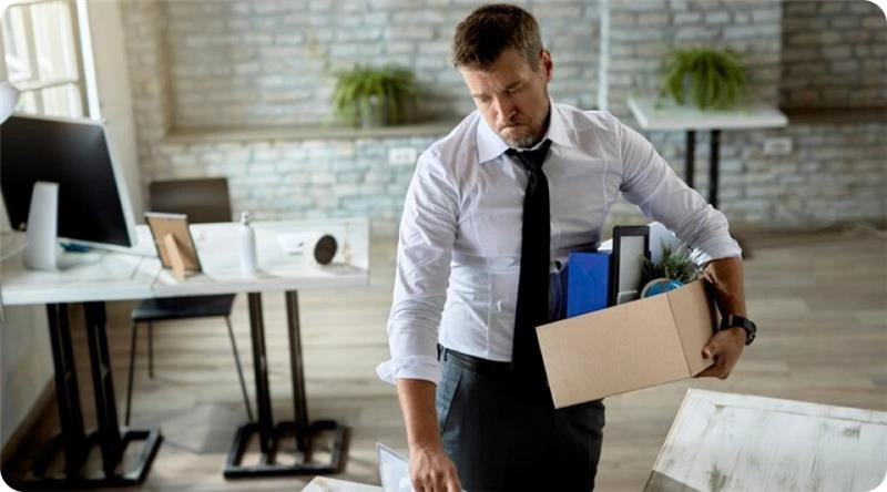 Professional Packers Handle Fragile and High-Value Items